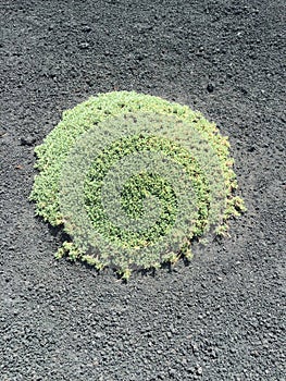 Sicily Etna summer 2016 landscape