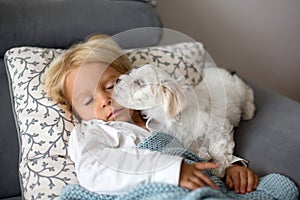 Sick child, toddler boy lying on the couch with his white puppy in living room with fever, resting