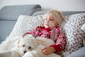 Sick child, toddler boy lying on the couch with his white puppy in living room with fever, resting