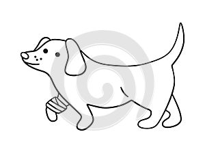 A sick dog with a wounded paw in bandages in doodle style. Hand drawn vector illustration