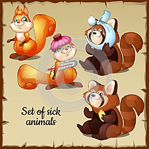 Sick and healthy squirrel and raccoon