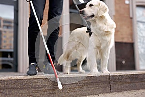 Sick man with blindness get help by dog guide