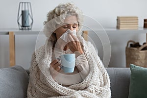 Sick mature woman wrapped blanket blowing running nose, feeling unhealthy