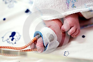 Sick newborn baby foot Insert a strap to measure oxygen in the blood and see the oxygen value for organs