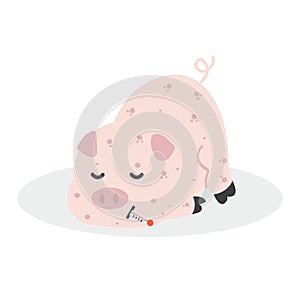 Sick Pig  Swine Flu bacteria virus infected