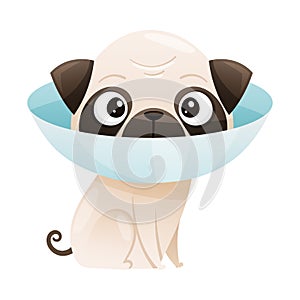 Sick puppy with protective veterinary collar cartoon vector illustration