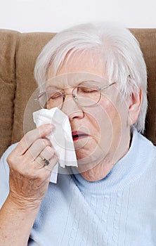 Sick senior sneezing photo
