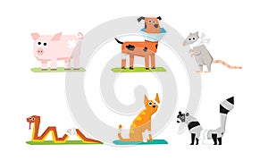 Sick and wounded animals set, veterinary care, pig, rat, cat, snake, dog, raccoon with plasters and bandages vector