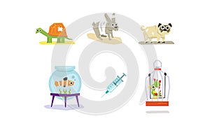 Sick and wounded animals set, veterinary care vector Illustration on a white background