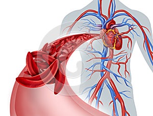 Sickle Cell Circulation Blockage