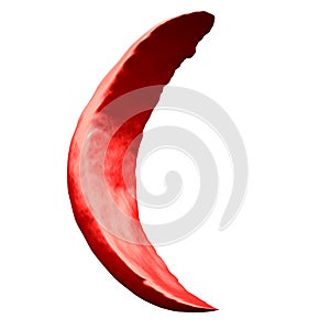 Sickle Red Blood Cell photo