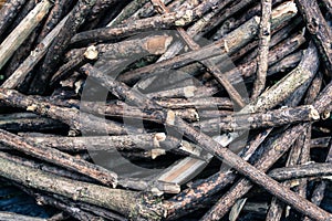 Sicks and twigs, dry twigs,wood