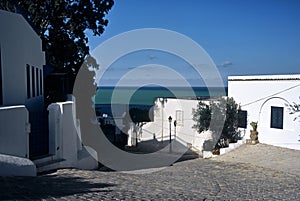 Sid bou Said,Tunisia