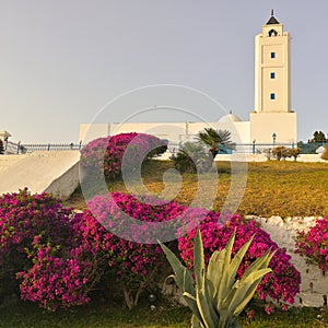 Sid Bousaid Mosque Carthage Tunis