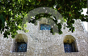 Side of cathederal with deepset arched stainedglass windows with tropical foliage photo