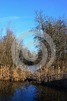 Side channel of Black Water Cierna Voda river in Galanta district, western Slovakia, during frosty winter season.