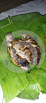 side dishes.  mujair fish, grilled fish photo