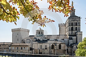 Side facade of the cathedral and Popes` Palace of Avignon