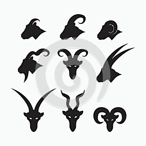 Side face and front face of sheep, goat, billy goat, angora goat set - mammal, animal vector icon