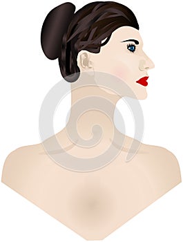 Side face lady mannequin portrait vector illustration