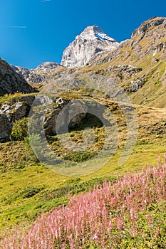 The side of the Granta Parey in the valley of Rhemes in the Alps