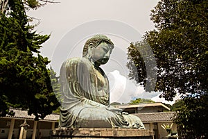 Side photograph of the great buddha of kamakura