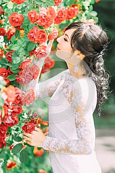 The side portrait of the beautiful bride touching and smelling the red roses.