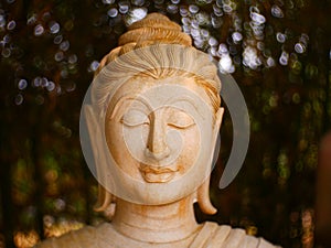 Buddha face in a garden.