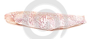 Side of Red Snapper on a White Background photo
