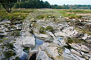 Side of the River Ribble.