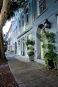 Side show of Rainbow Row houses with pot plants in Charleston, vertical shot