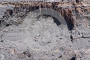 Side surface of the turf