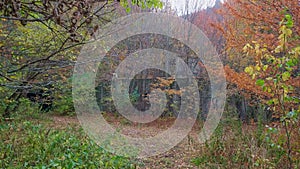 Side view of abandoned and closed and ruined entrance into tunnel of mine where Uranius was being mined. Lermontov city