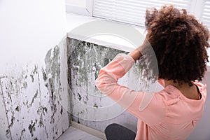 Woman Looking At Mold On Wall