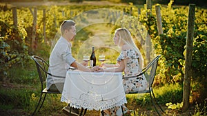 Side view of Asian man dines with woman in picturesque vineyard, tastes wine