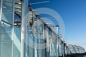 Side view from below of a greenhouse