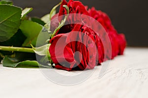 Side view of a bouquet of red roses, close-up, white background