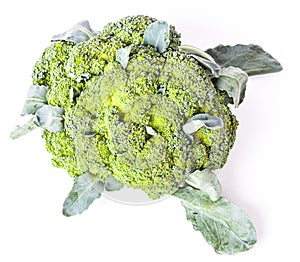 Side view of broccoli cabbage inflorescences of green color with leaves on a white isolated background in a photo studio. Fresh