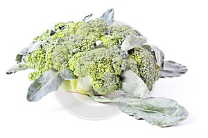 Side view of broccoli cabbage inflorescences of green color with leaves on a white isolated background in a photo studio. Fresh