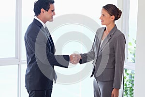 Side view of business partner shaking hands