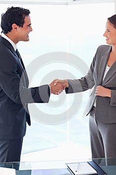 Side view of business people welcoming each other