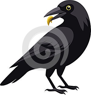 Side view of a Carrion Crow, Corvus corone, isolated