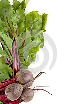 Side view chard with few beetroots as background