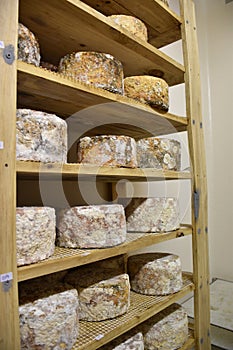 Side view of the cheese maturing chamber in different phases.