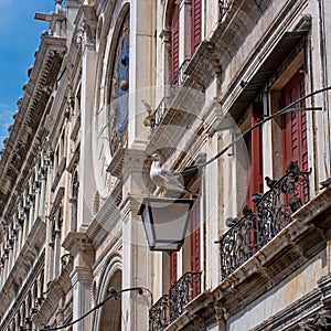 Side view of the clock tower of St. mark`s square. Venice, Italy. In the foreground sea gull sitting on a street lamp