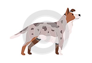 Side view of cute adult dog. Pretty doggy with spotty fur. Canine animal with faithful look. Flat vector illustration of