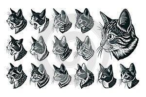 Side view of cute manx cat head illustration design bundle