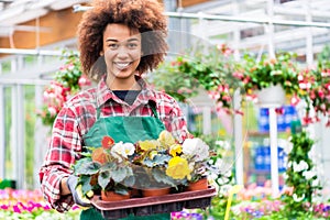 Side view of a dedicated florist holding a tray with decorative flowers