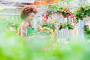 Side view of a dedicated florist holding a tray with decorative flowers