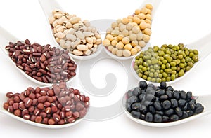 Side view different beans